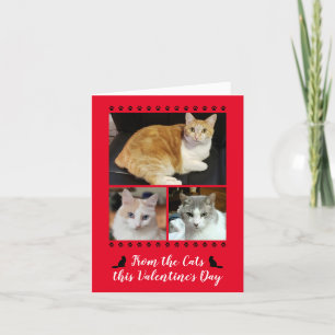 Cartes Pour Fêtes Annuelles Funny 3 Photo De L'Empreinte de patte De Chat Vale