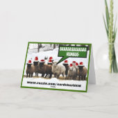 Cartes Pour Fêtes Annuelles Funny Bah Humbug (Dos)