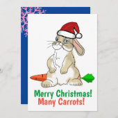 Cartes Pour Fêtes Annuelles Funny Bunny Joyeux Noël (Devant / Derrière)