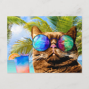 Cartes Pour Fêtes Annuelles Funny Cat