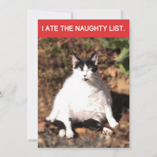 Cartes Pour Fêtes Annuelles Funny Cat Ate Père Noël Naughty List Noël