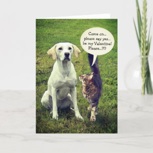 Cartes Pour Fêtes Annuelles Funny Cat & Chien Valentine (personnalisable)