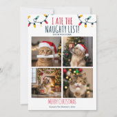 Cartes Pour Fêtes Annuelles Funny Chat Chien Naughty List Custom Christmas Pho (Devant)