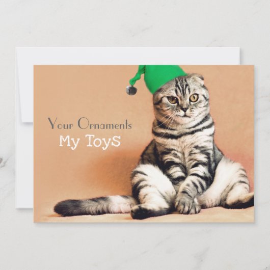 Cartes Pour Fêtes Annuelles Funny Chat Joyeux Noël Personnalisé (Devant)