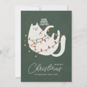 Cartes Pour Fêtes Annuelles Funny Chat Joyeux voeux de Noël (Devant)