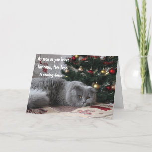 Cartes Pour Fêtes Annuelles Funny Chat sapin de Noël Colère Salutation