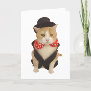 Cartes Pour Fêtes Annuelles Funny Chat Valentine
