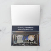 Cartes Pour Fêtes Annuelles Funny Chat Valentine pour amour (Intérieur)