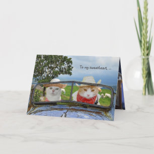 Cartes Pour Fêtes Annuelles Funny Chat Valentine pour amour
