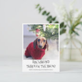 Cartes Pour Fêtes Annuelles Funny Chien Dachshund Photo Noël (Debout devant)