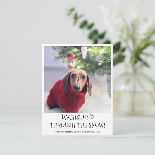 Cartes Pour Fêtes Annuelles Funny Chien Dachshund Photo Noël (Debout devant)