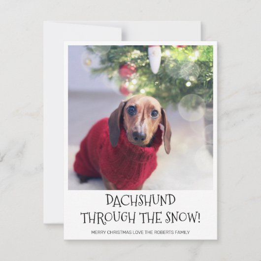 Cartes Pour Fêtes Annuelles Funny Chien Dachshund Photo Noël (Devant)