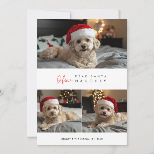 Cartes Pour Fêtes Annuelles Funny Chien Photo Définir Naughty Noël Salutations (Devant)