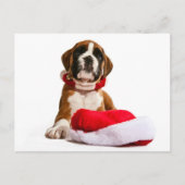 Cartes Pour Fêtes Annuelles funny Christmas dog boxeurs puppy (Devant)