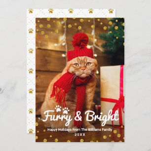 Cartes Pour Fêtes Annuelles Funny Christmas Pet Photo Furry et Bright Gold