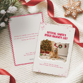 Cartes Pour Fêtes Annuelles Funny Christmas Picture With Cute Dogs