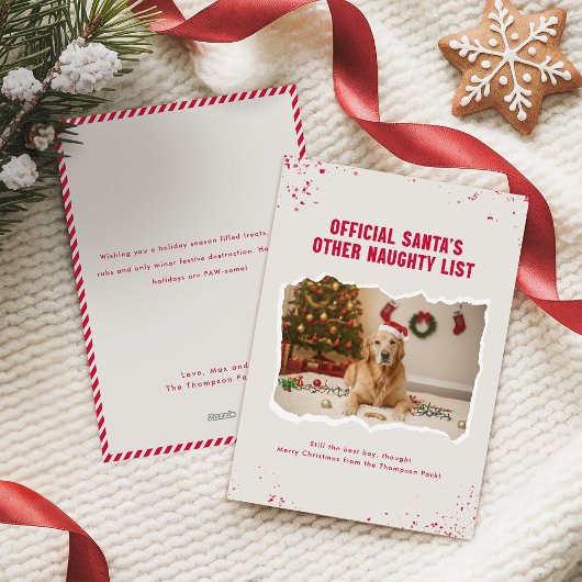 Cartes Pour Fêtes Annuelles Funny Christmas Picture With Cute Dogs
