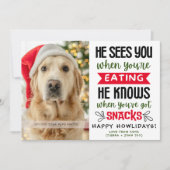 Cartes Pour Fêtes Annuelles Funny Dog Photo Christmas Picture Personalized (Devant)