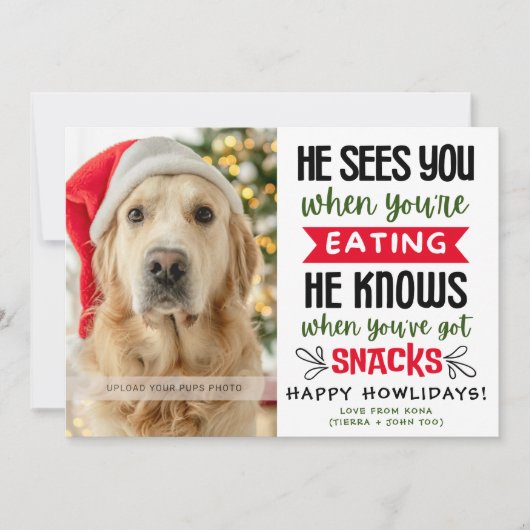 Cartes Pour Fêtes Annuelles Funny Dog Photo Christmas Picture Personalized (Devant)