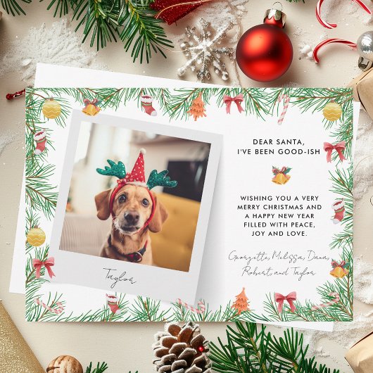 Cartes Pour Fêtes Annuelles Funny Festive animal de compagnie photo chien pers