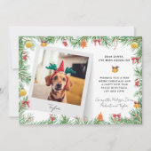 Cartes Pour Fêtes Annuelles Funny Festive animal de compagnie photo chien pers (Devant)