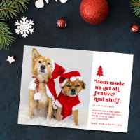 Funny Festive Plural Animaux de compagnie Photo No