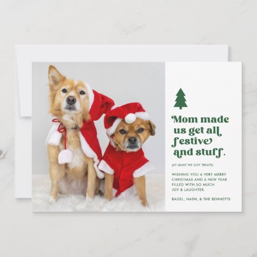 Cartes Pour Fêtes Annuelles Funny Festive Plural Animaux de compagnie Photo No (Devant)