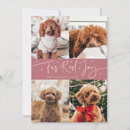 Cartes Pour Fêtes Annuelles Funny Fur Real Joy Chien Photo Rose Noël (Devant)