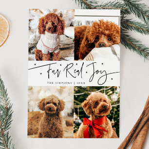Cartes Pour Fêtes Annuelles Funny Fur Real Joy Chien Photo White Christmas