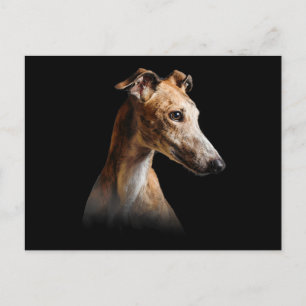 Cartes Pour Fêtes Annuelles Funny Greyhound Face Greyhound Smile greyhound