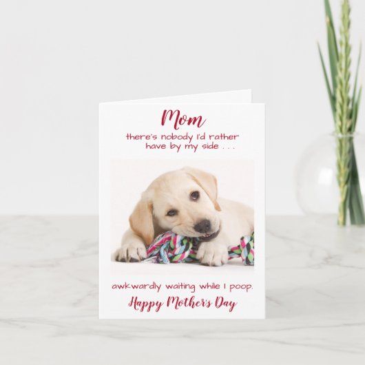 Cartes Pour Fêtes Annuelles Funny Happy Mothers Day Pet Dog Photo (Devant)