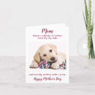 Cartes Pour Fêtes Annuelles Funny Happy Mothers Day Pet Dog Photo