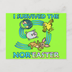 Cartes Pour Fêtes Annuelles Funny I Survive the Nor'Easter