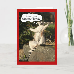 Cartes Pour Fêtes Annuelles Funny Lemur Vous Aimez Cette Fête Des Valentines