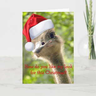 Cartes Pour Fêtes Annuelles ©Funny Look Ostrich Père Noël Custom Holiday Card