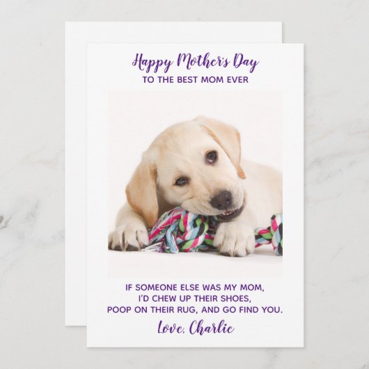 Cartes Pour Fêtes Annuelles Funny Mothers Day Personnalisé Animaux de compagni (Devant / Derrière)