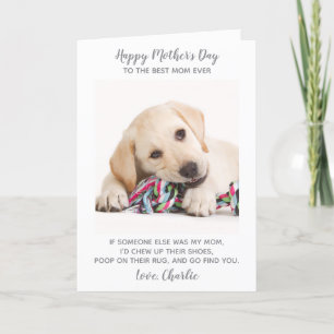 Cartes Pour Fêtes Annuelles Funny Mothers Day Personnalisé Animaux de compagni