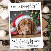 Cartes Pour Fêtes Annuelles Funny Naughty Nice Personnalisé mignon chien anima