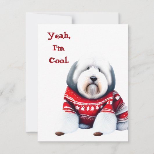 Cartes Pour Fêtes Annuelles Funny Old English Sheepdog dans le pull de Noël (Devant)