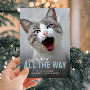 Cartes Pour Fêtes Annuelles Funny Pet Cat Fêtes Cartes de Noël