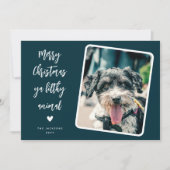 Cartes Pour Fêtes Annuelles Funny Pet Photo Joyeux Noël (Devant)