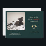 Cartes Pour Fêtes Annuelles Funny Pet Photo Noël<br><div class="desc">Carte photo de vacances pour amoureux de les chiens ! Le texte dit "Cher Père Noël, Définissez "NAUGHTY" à partir du XX (nom de votre chien)." Remplacez l'image par votre photo de moment de chiot préféré à partir de votre compte instagram. Le cadre photo est en forme de carré afin...</div>