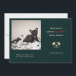 Cartes Pour Fêtes Annuelles Funny Pet Photo Noël<br><div class="desc">Carte photo de vacances pour amoureux de les chiens ! Le texte dit "Cher Père Noël, Définissez "NAUGHTY" à partir du XX (nom de votre chien)." Remplacez l'image par votre photo de moment de chiot préféré à partir de votre compte instagram. Le cadre photo est en forme de carré afin...</div>