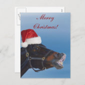 Cartes Pour Fêtes Annuelles Funny Pony Merry (Devant / Derrière)