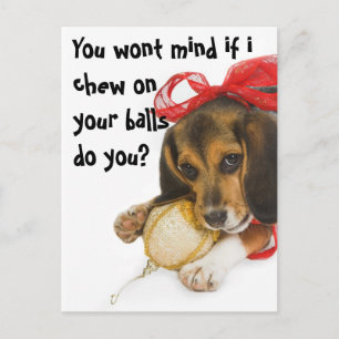 Cartes Pour Fêtes Annuelles Funny Puppy Christmas, Holiday Postcard