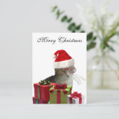 Cartes Pour Fêtes Annuelles Funny tendance Père Noël sage chat Noël (Debout devant)