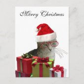 Cartes Pour Fêtes Annuelles Funny tendance Père Noël sage chat Noël (Devant)