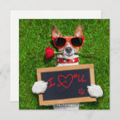 Cartes Pour Fêtes Annuelles Funny Valentines Day Card - Jack Russel Card (Devant / Derrière)