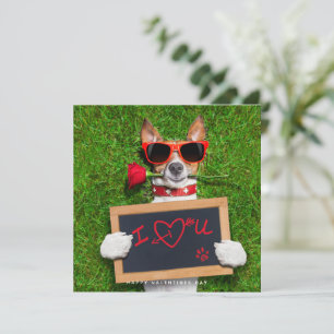 Cartes Pour Fêtes Annuelles Funny Valentines Day Card - Jack Russel Card