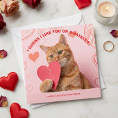 Cartes Pour Fêtes Annuelles Funny Valentine's Day "I Guess I Like You"